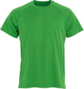Apple Green